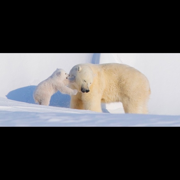 Meet your Posher, Katerina - Picture 1 of 1